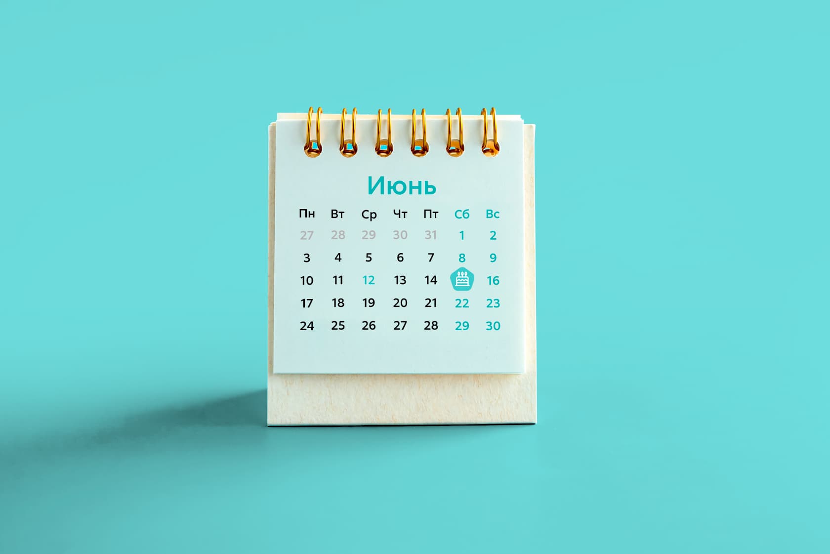 фото как помогаем 1